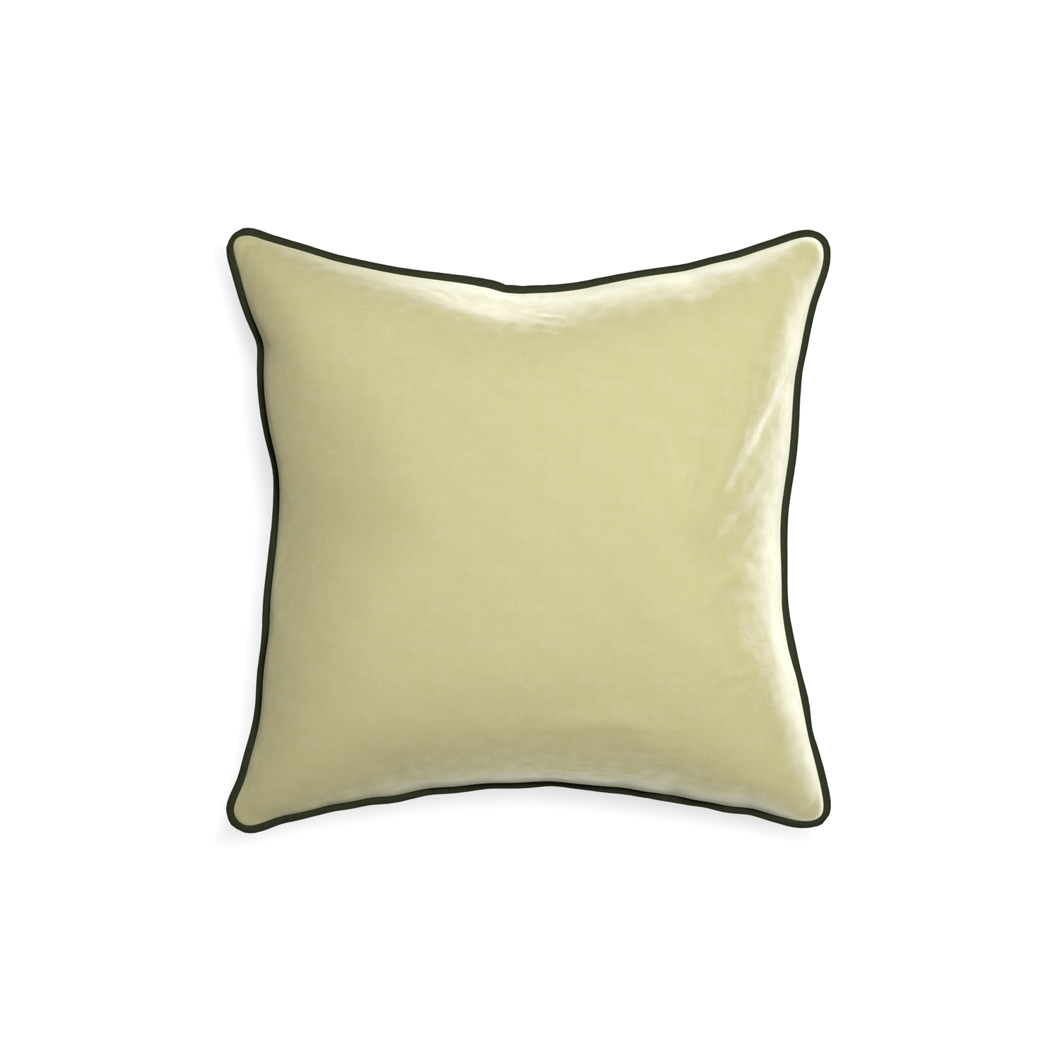 square light green velvet pillow with fern green piping