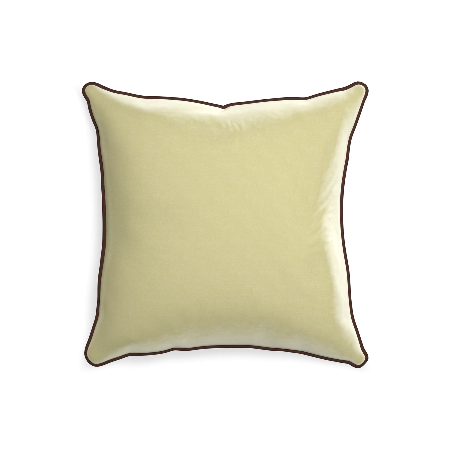 square light green velvet pillow with brown velvet piping