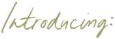 introducing