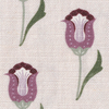 Annabelle Orchid