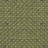 Moss