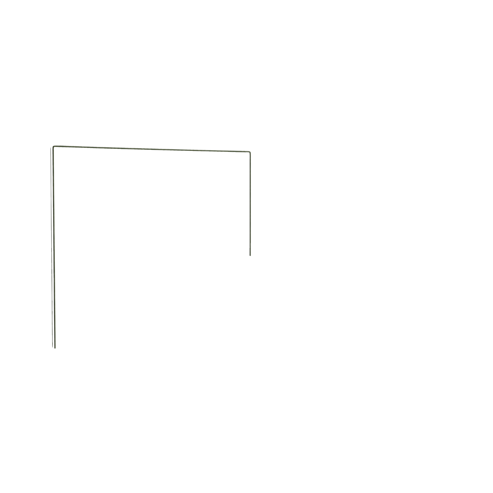 Queen florence eucalyptus custom on white background