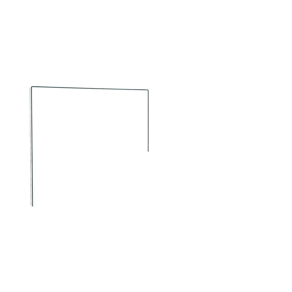 Queen florence eucalyptus custom on white background