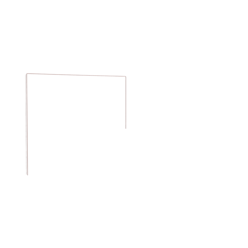 Queen florence eucalyptus custom on white background