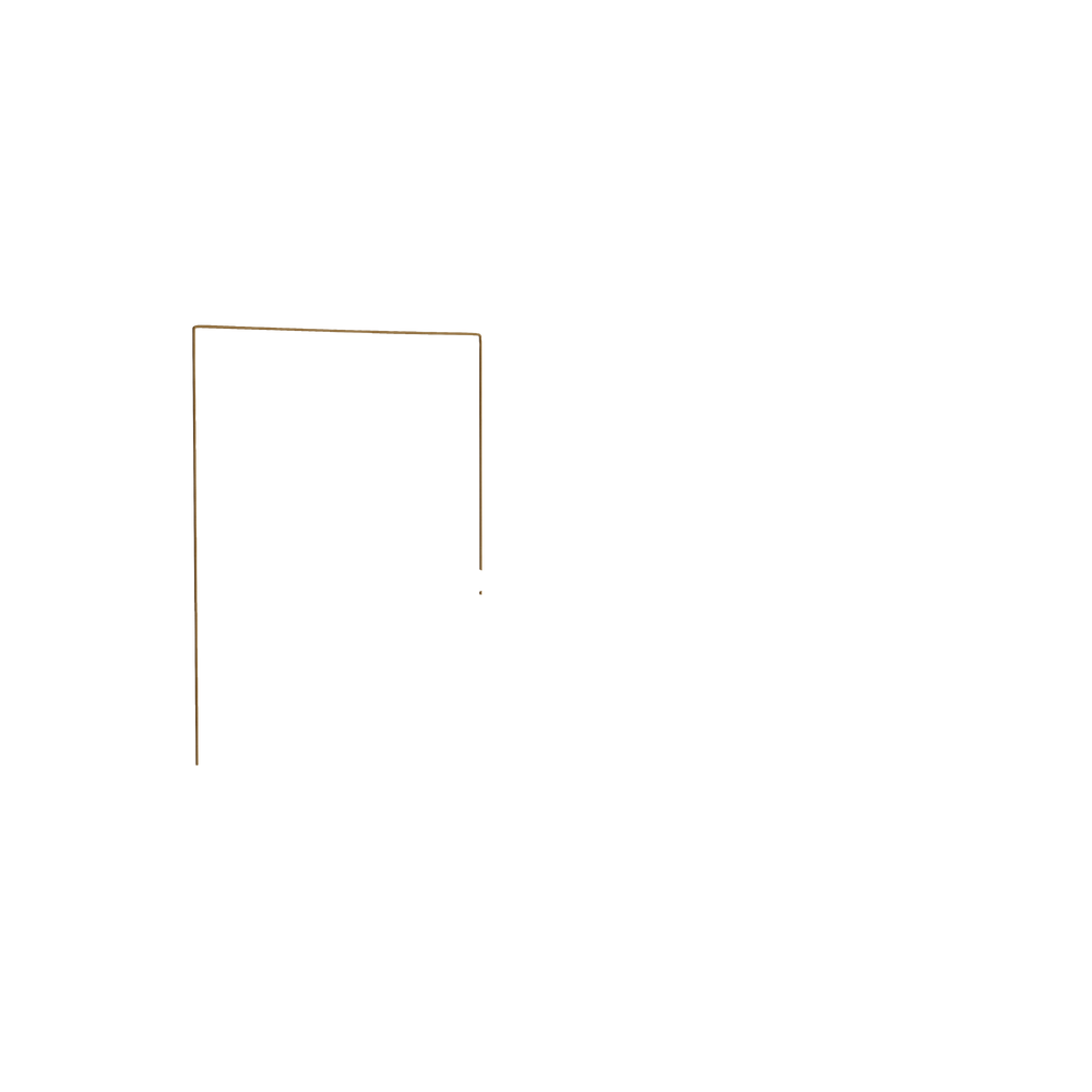 Twin florence eucalyptus custom on white background