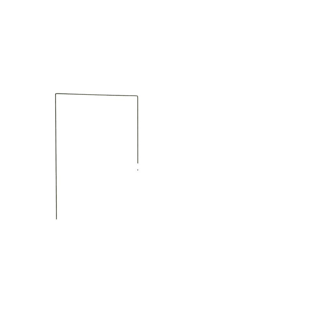 Twin florence eucalyptus custom on white background