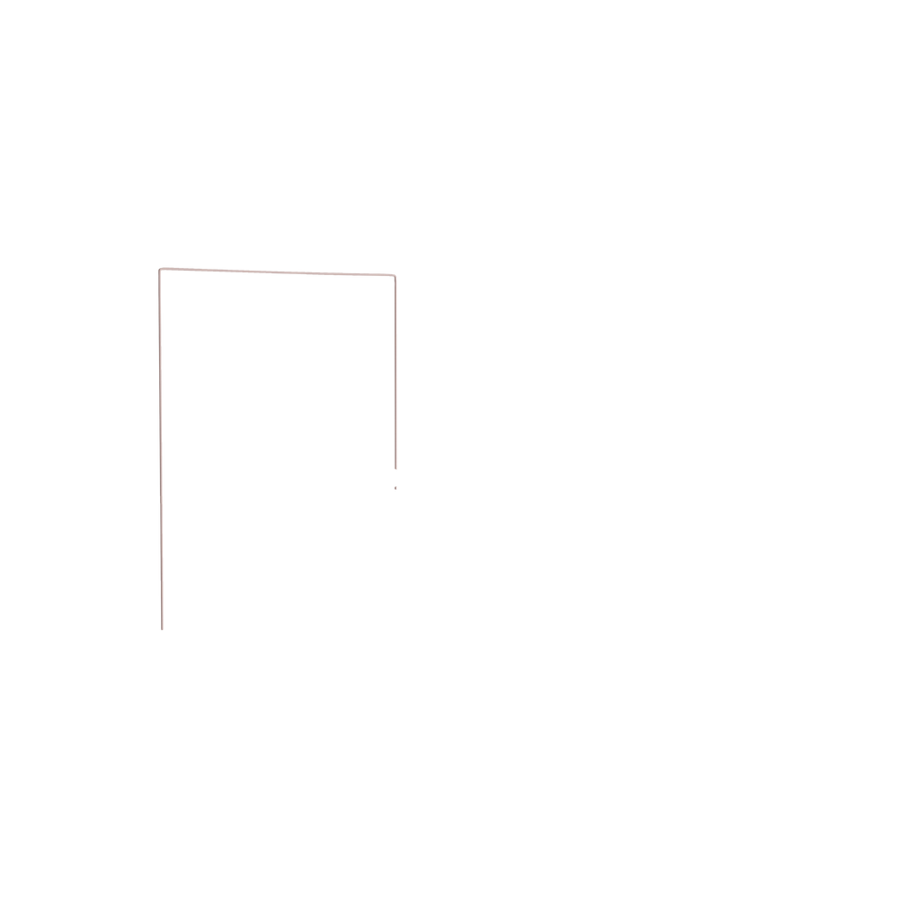 Twin florence eucalyptus custom on white background