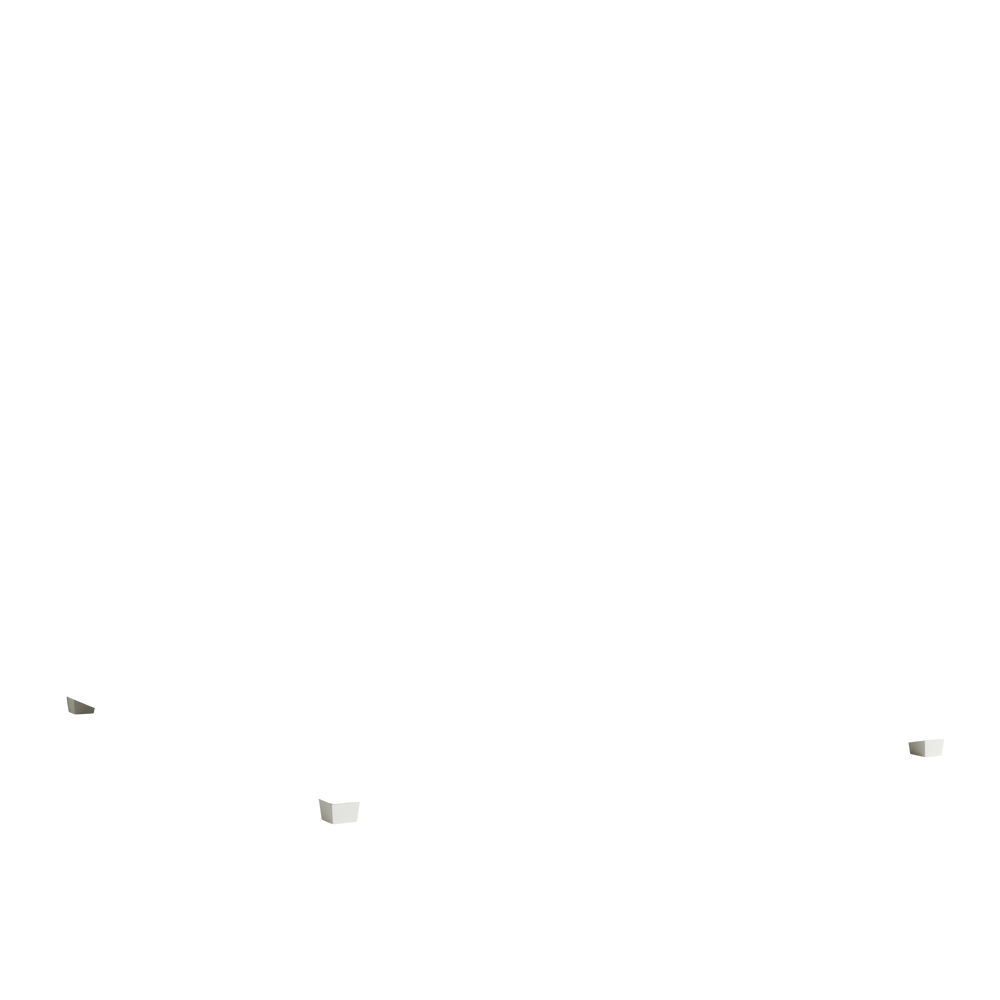 King florence eucalyptus custom on white background