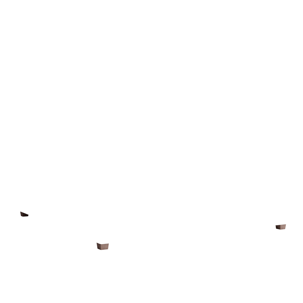 King florence eucalyptus custom on white background