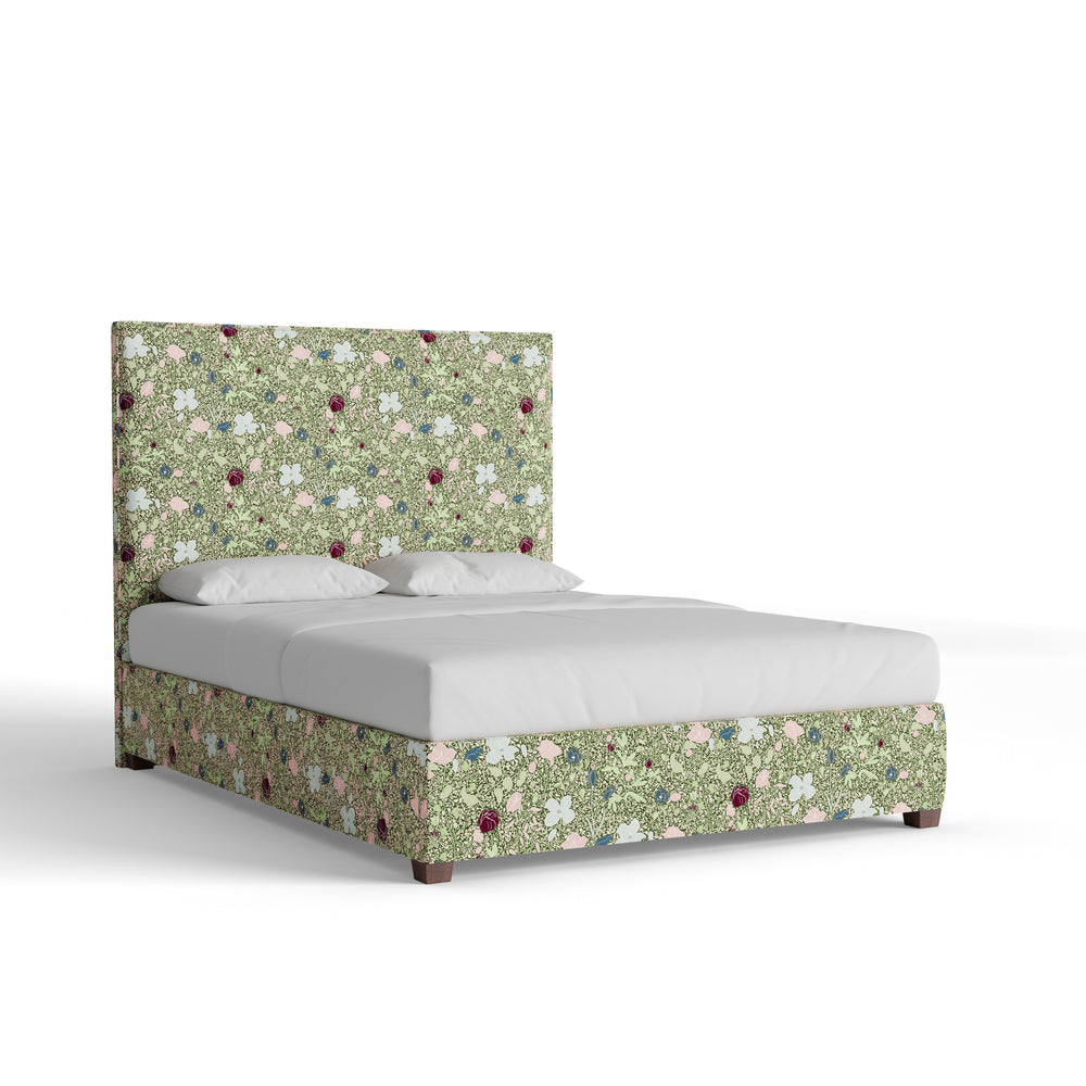 Queen matilda custom on white background