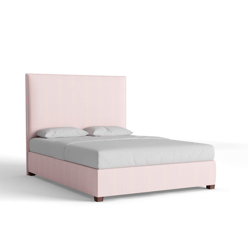 Queen rose velvet custom on white background