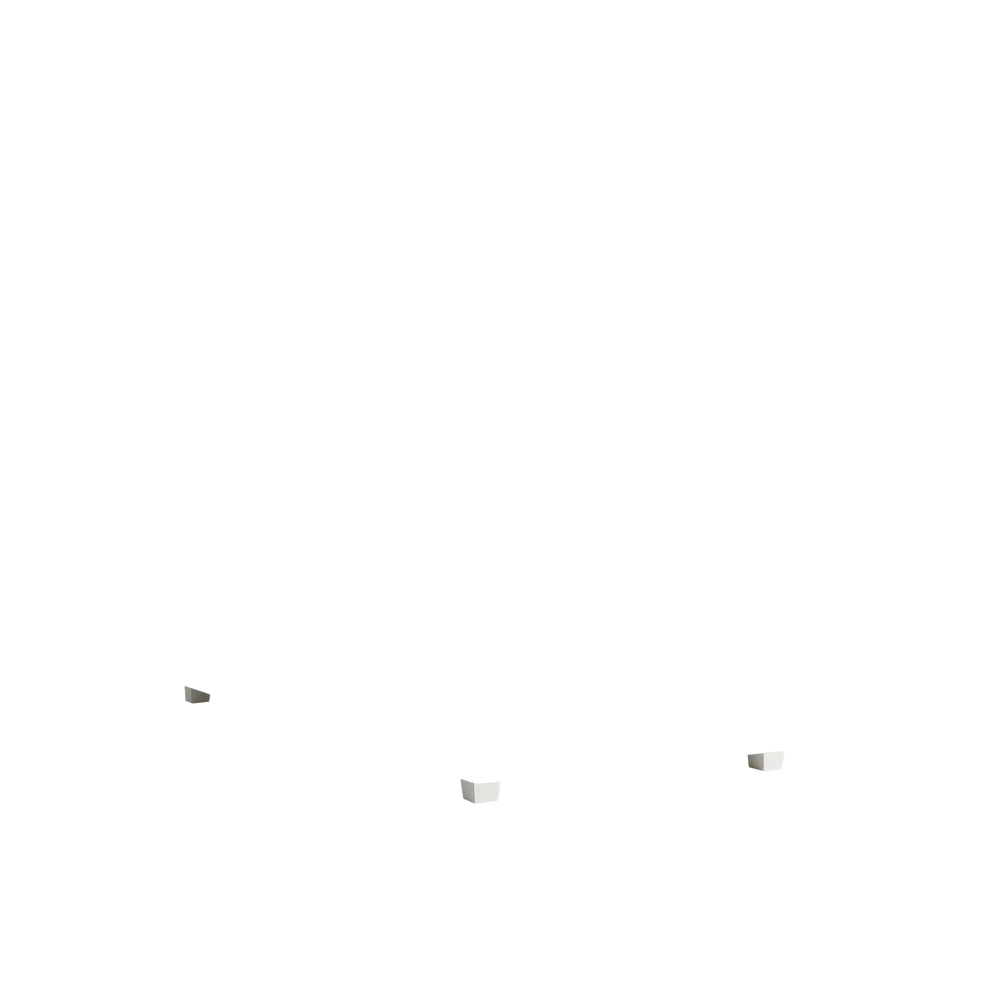 Twin florence eucalyptus custom on white background