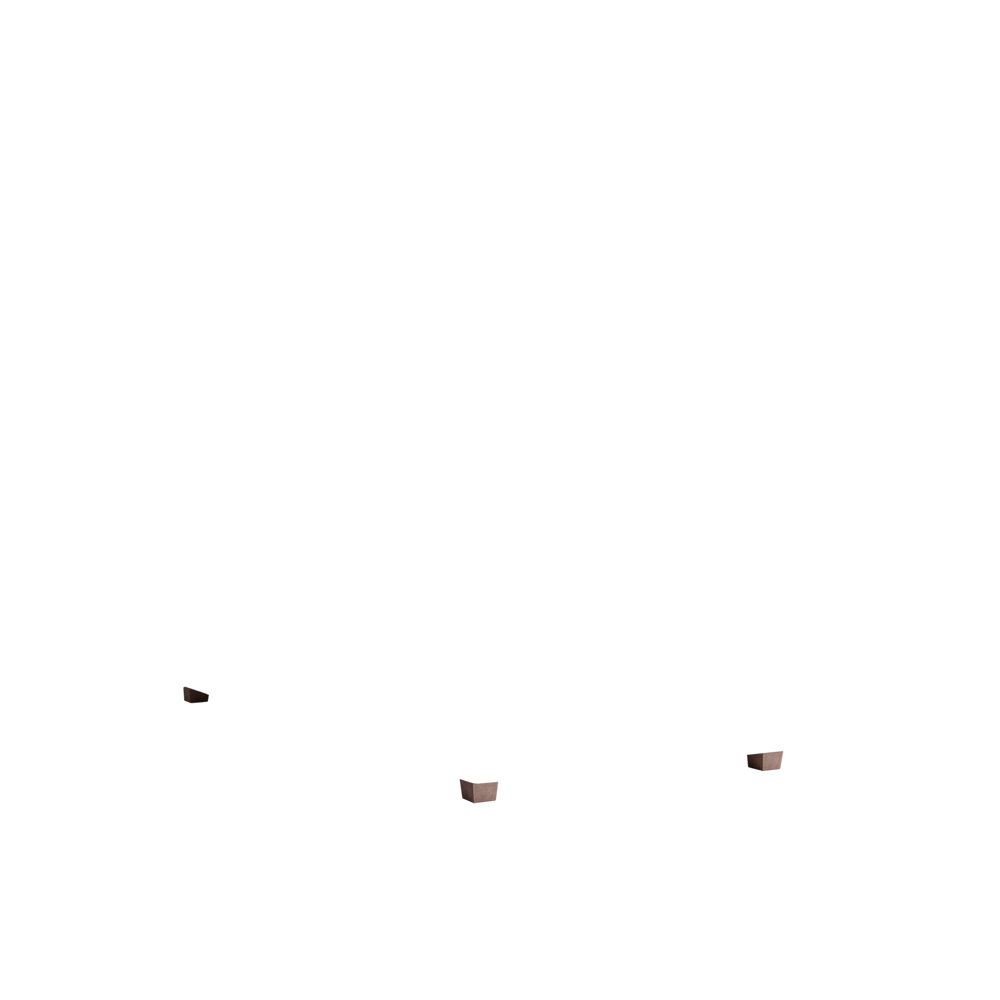 Twin florence eucalyptus custom on white background