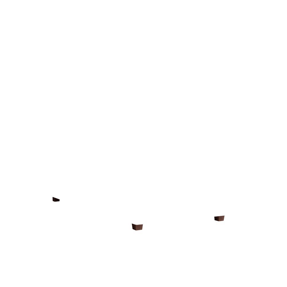 Twin florence eucalyptus custom on white background