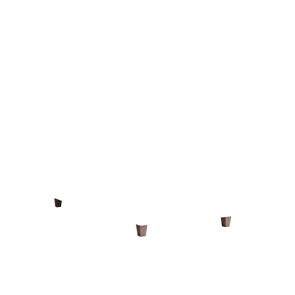 Twin florence eucalyptus custom on white background