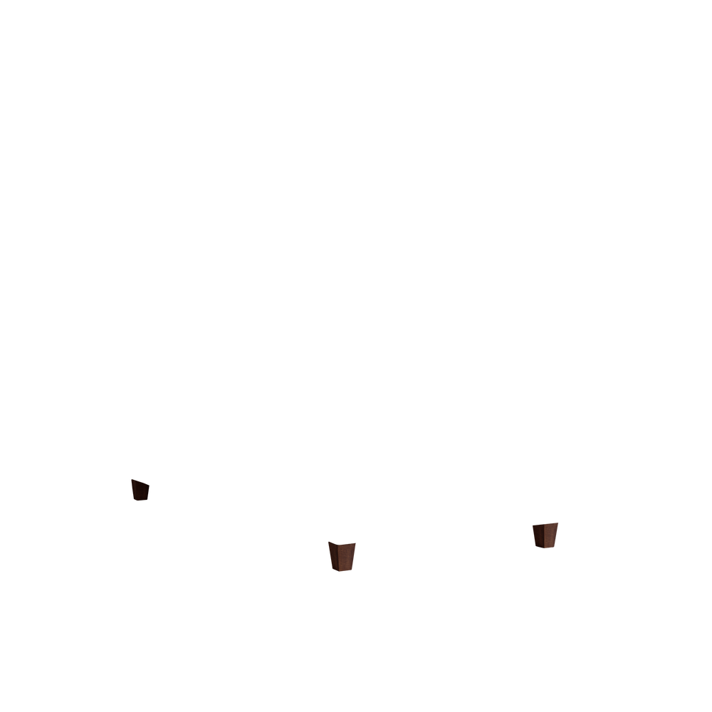 Twin florence eucalyptus custom on white background