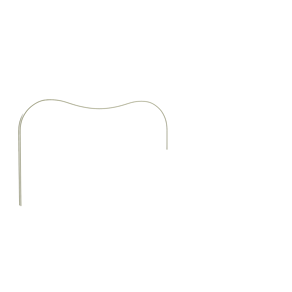 King citron velvet custom on white background