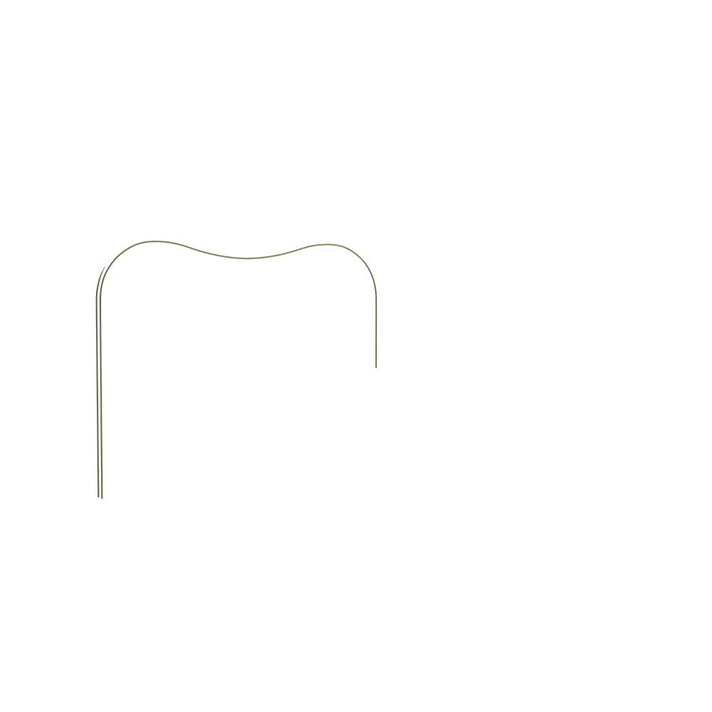 Queen citron velvet custom on white background