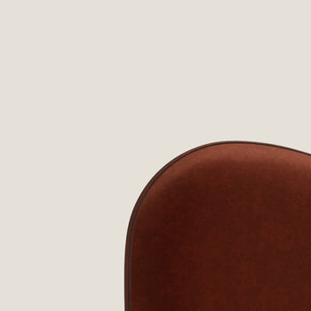 Cinnamon Velvet