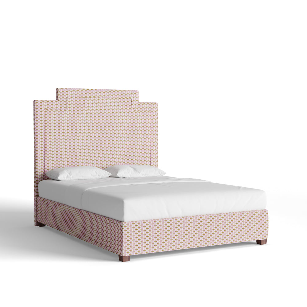 Queen willow orchid custom on white background