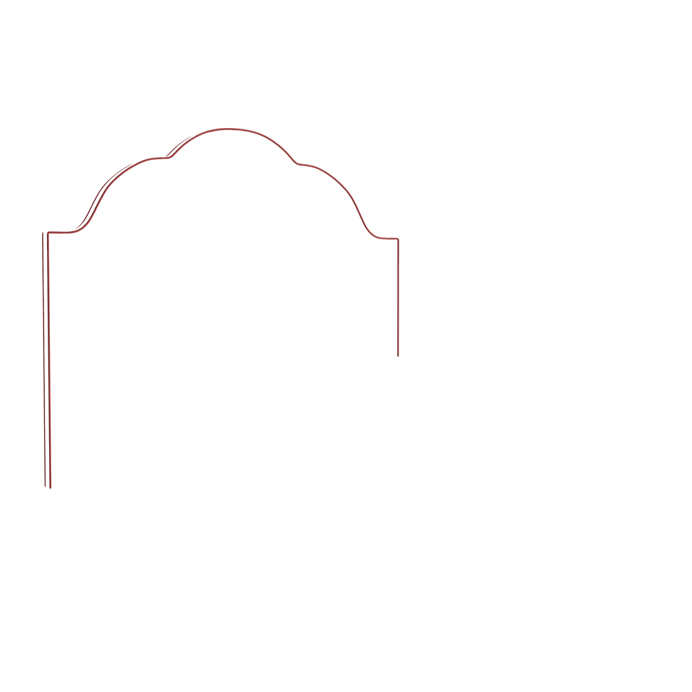 King rose velvet custom on white background