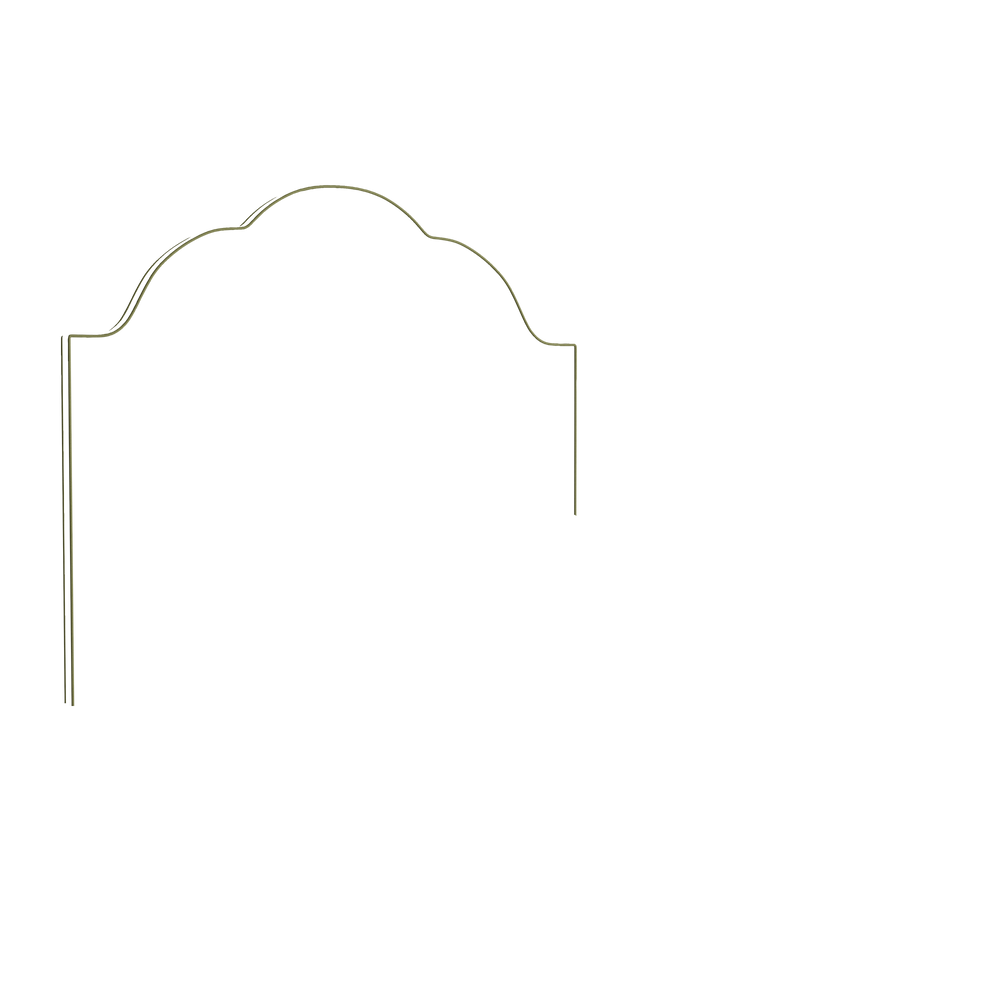 King rose velvet custom on white background