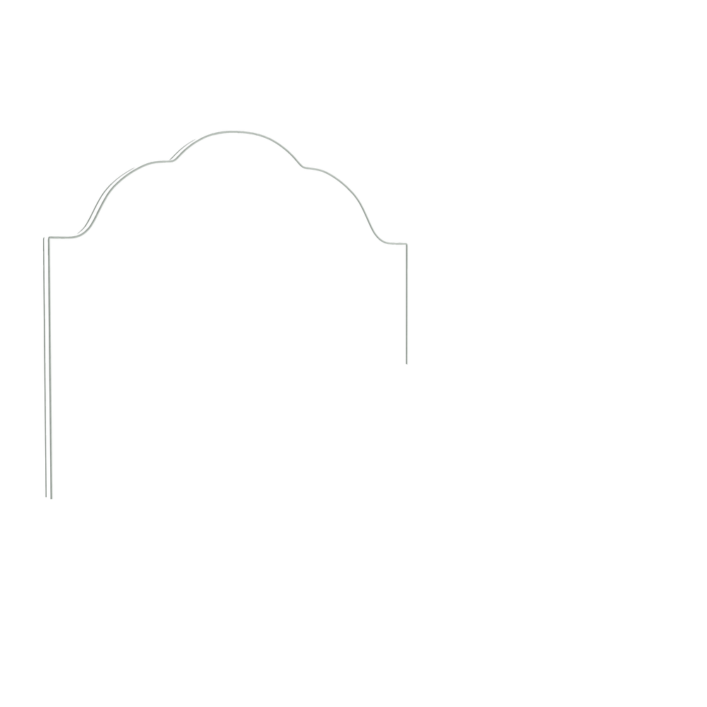 King rose velvet custom on white background