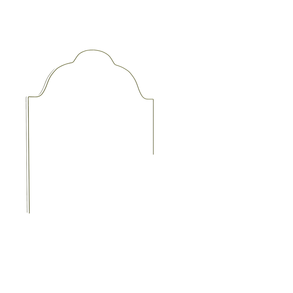 Queen rose velvet custom on white background