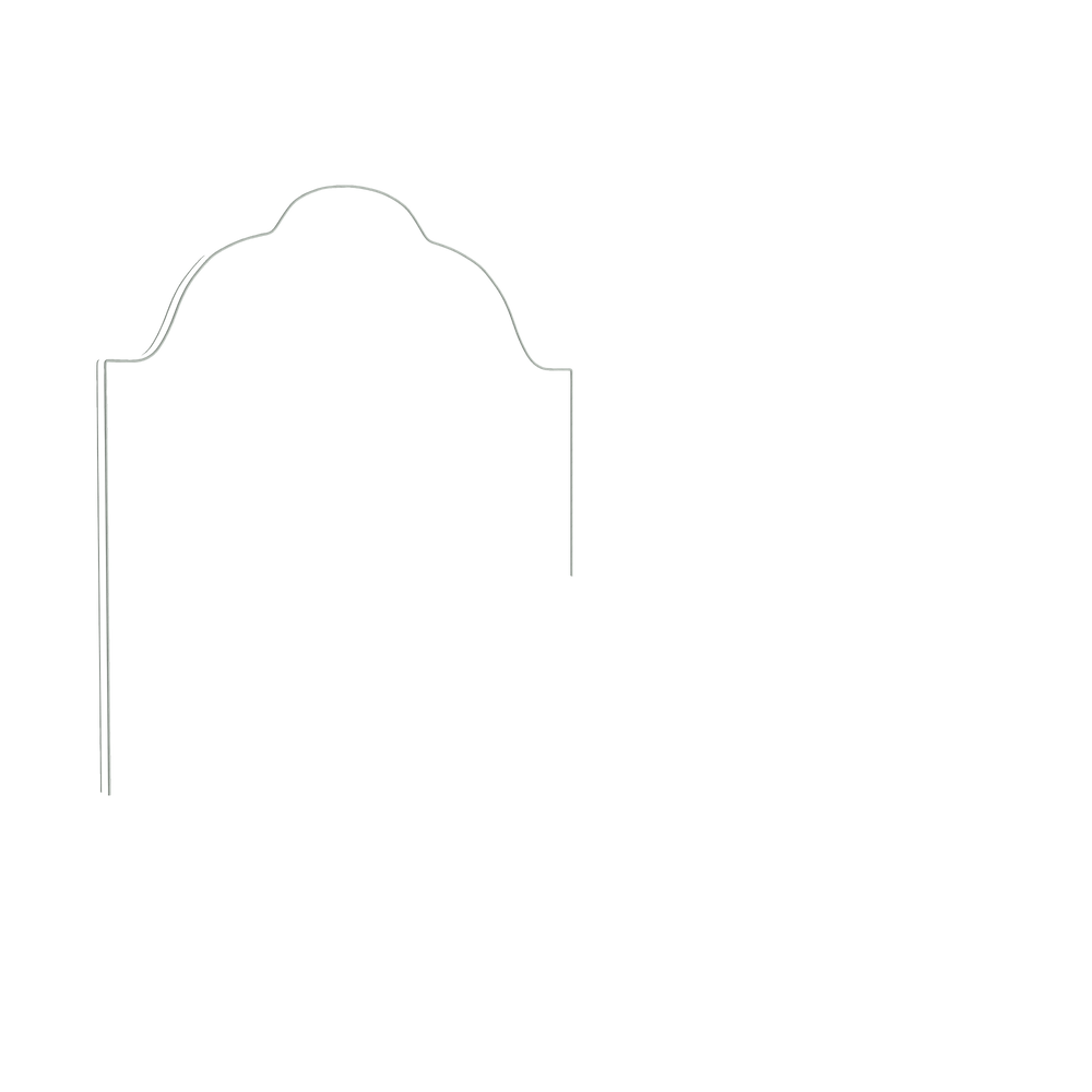 Queen rose velvet custom on white background