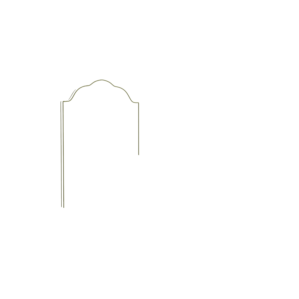 Twin rose velvet custom on white background