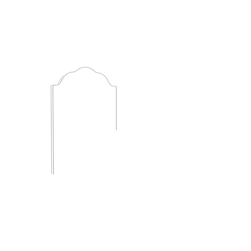 Twin rose velvet custom on white background