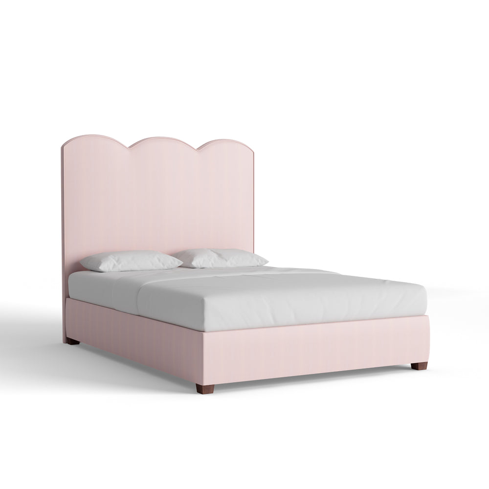 Queen rose velvet custom on white background