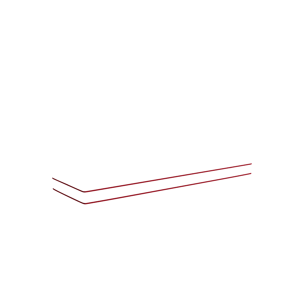 Standard beatrice custom on white background