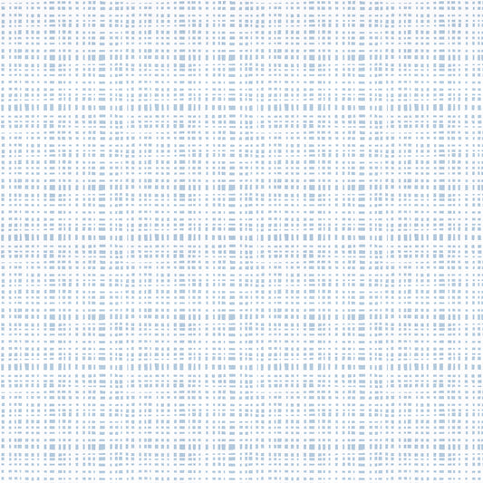 Sky Blue Gingham Print