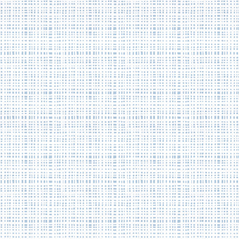 Sky Blue Gingham Print