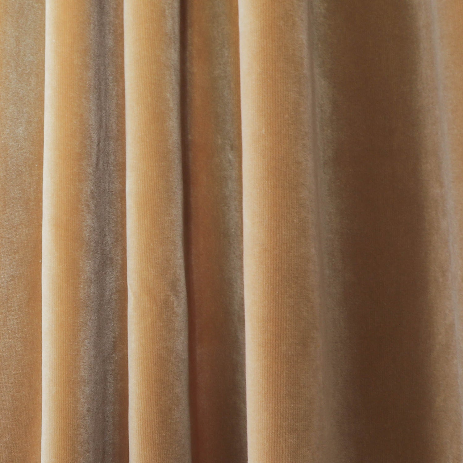 Close-up of Camel Velvet fabric in warm golden tones, showcasing soft texture for custom Pepper Home curtains.