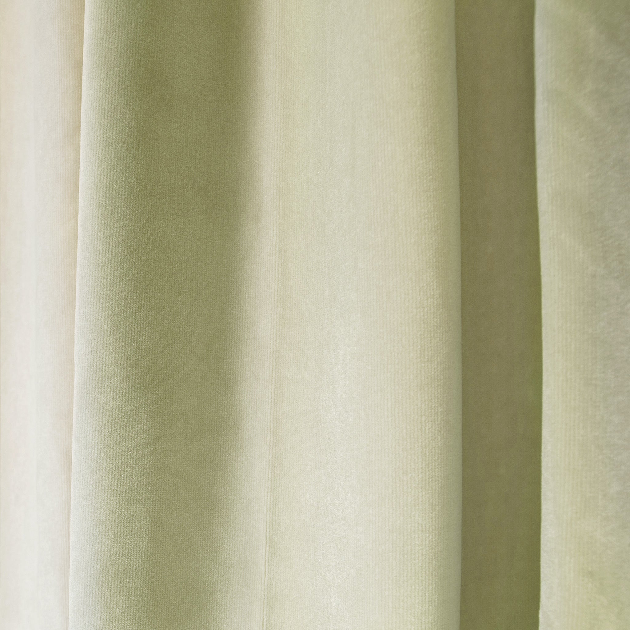Light Green Velvet Curtain Close-Up