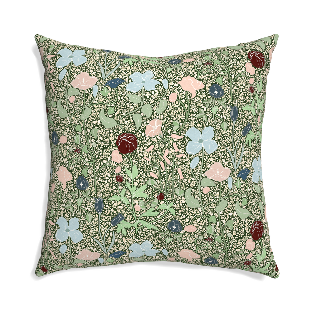 Euro-sham matilda custom pillow with n on white background