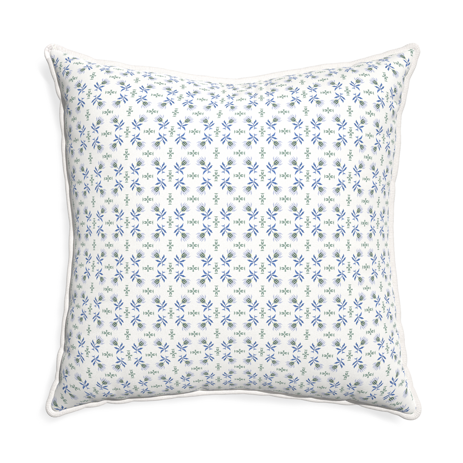 Euro-sham lee custom blue & green floralpillow with snow piping on white background