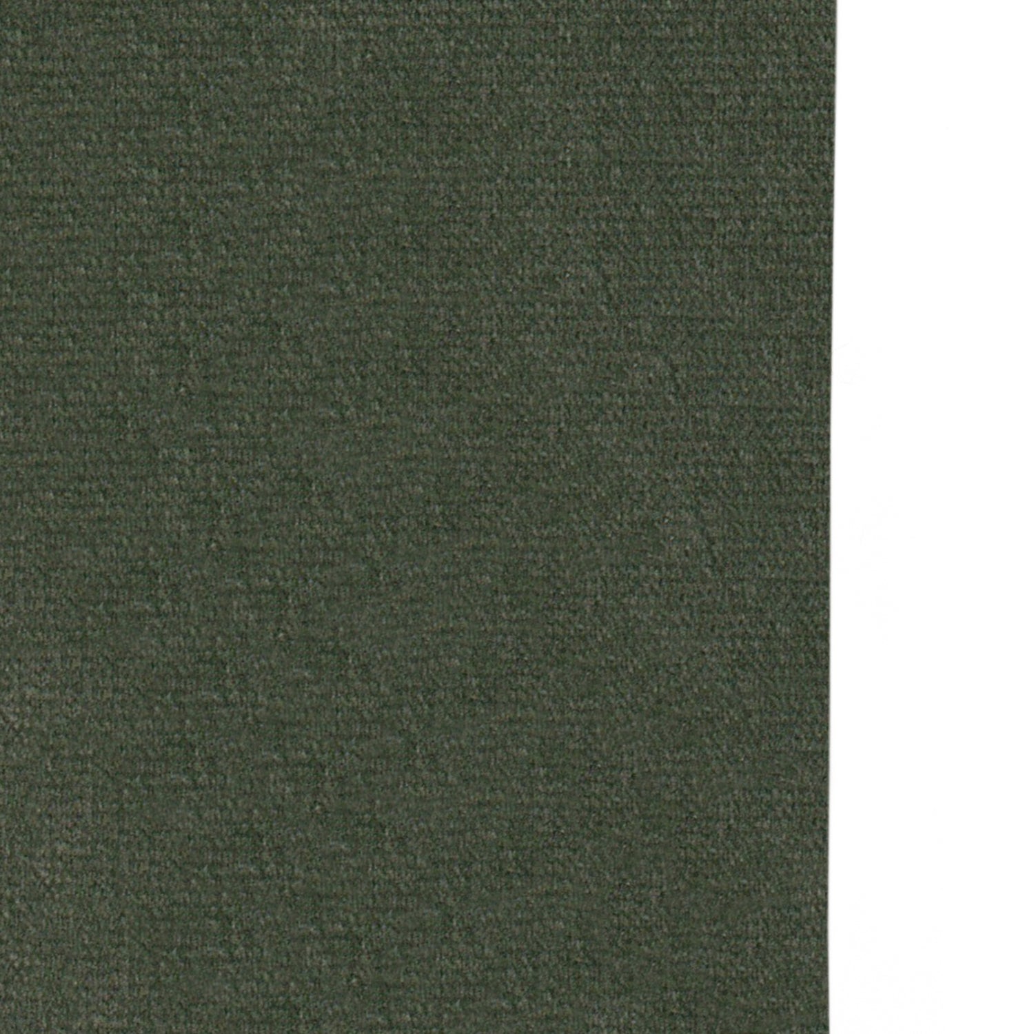 fern green velvet curtain