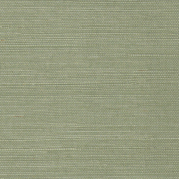 close up of Green Grasscloth Wallpaper