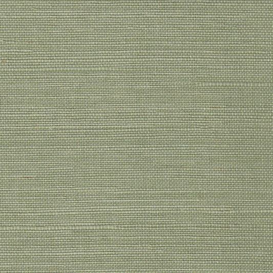 close up of Green Grasscloth Wallpaper