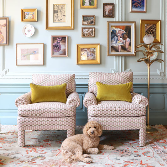 Living room with blue walls and a gallery wall styled with two upholstered pink embroidered chairs with a small dog sitting in front