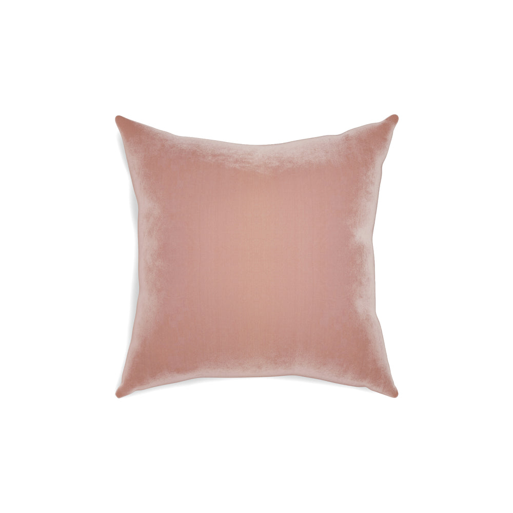 18-square quartz velvet custom pillow with n on white background
