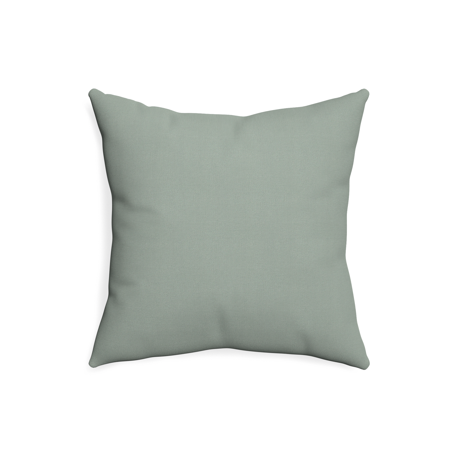 Sage throw discount pillow