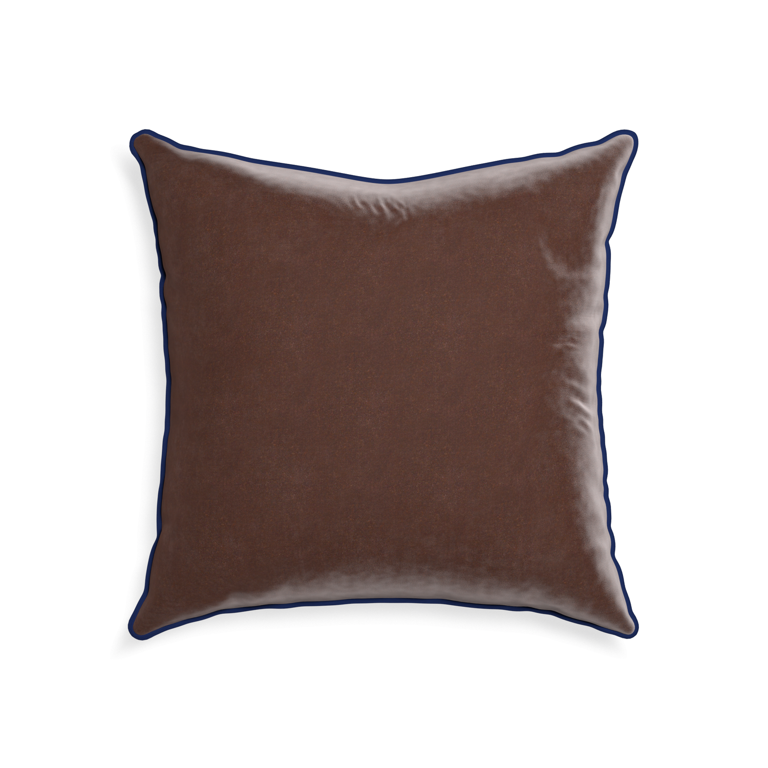 Tan velvet throw discount pillow