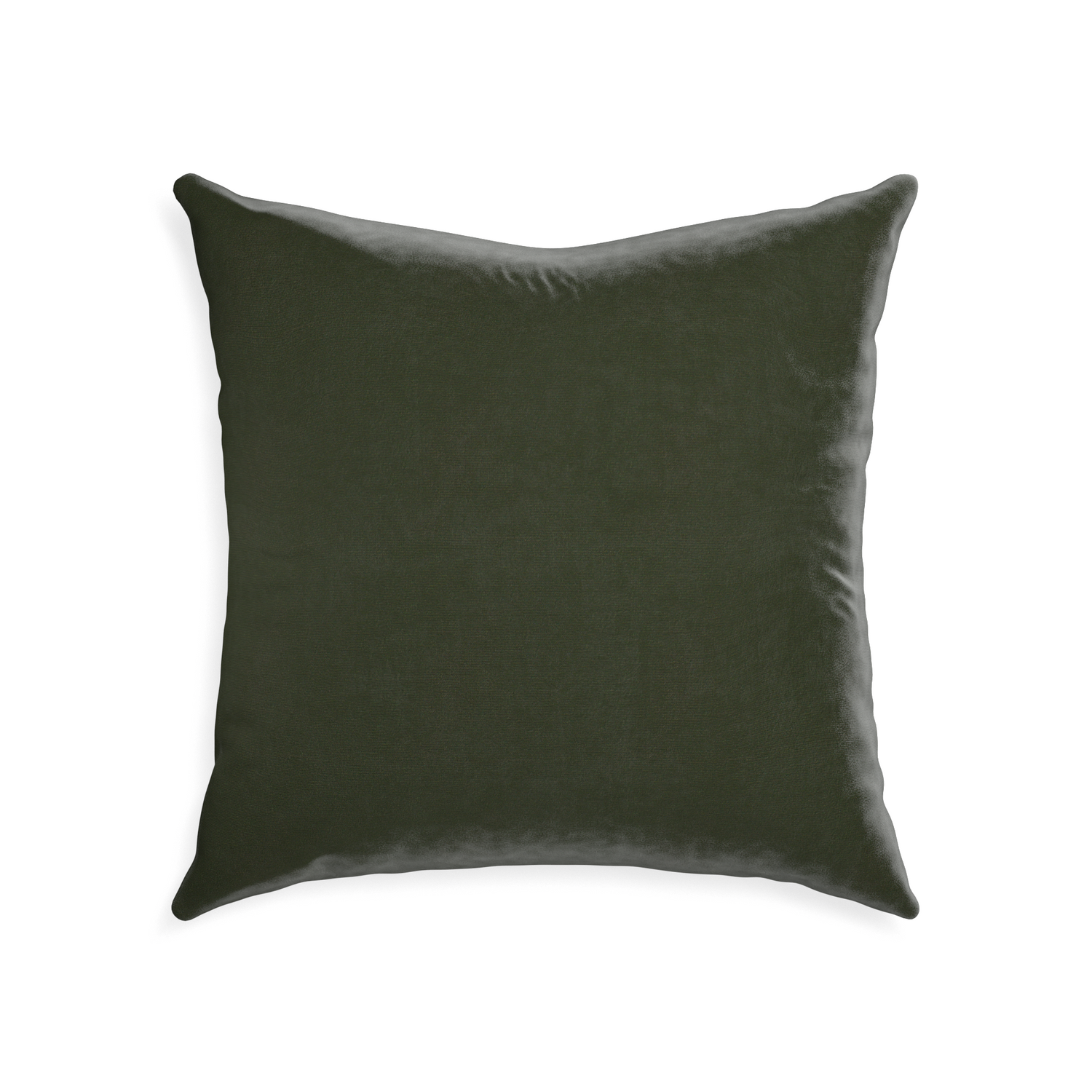square fern velvet pillow