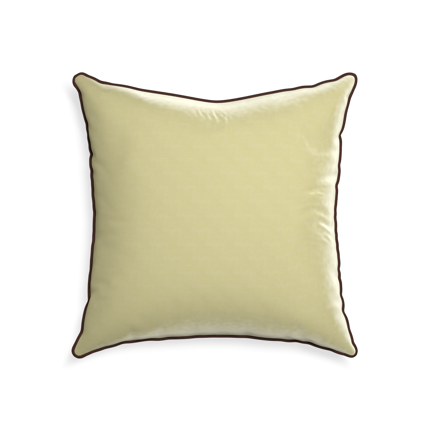 square light green velvet pillow with brown velvet piping