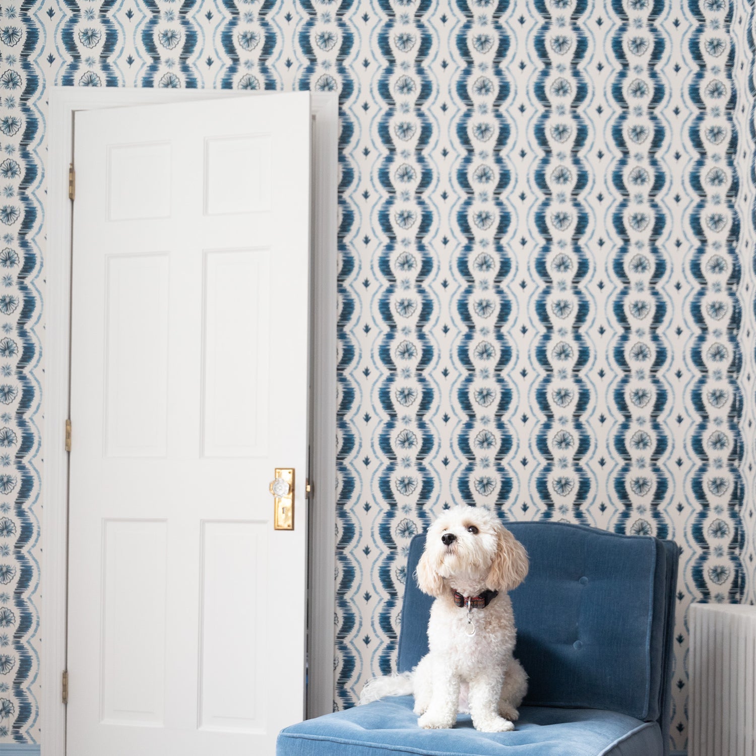 Blue Ikat Striped Pattern Wallpaper in room with white door besides a blue sofa chair and white dog on top