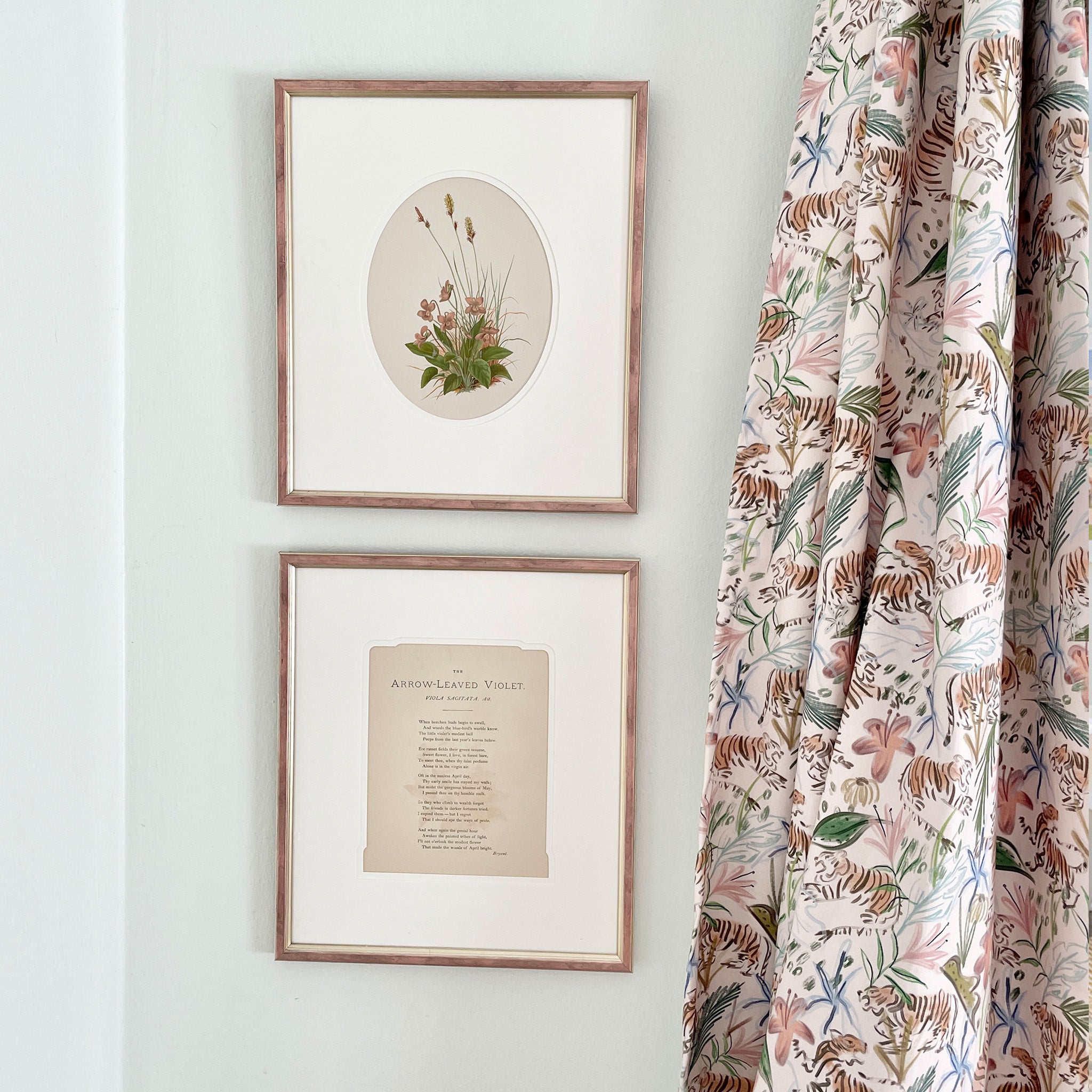 Corner Close-up with two gold rose frames next to Pink Chinoiserie Tiger Printed Curtain